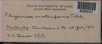 Image Associated With the Occurence